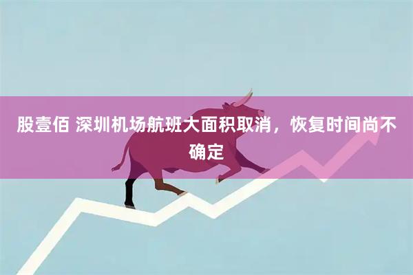 股壹佰 深圳机场航班大面积取消，恢复时间尚不确定