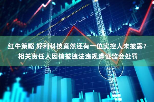 红牛策略 好利科技竟然还有一位实控人未披露？ 相关责任人因信披违法违规遭证监会处罚