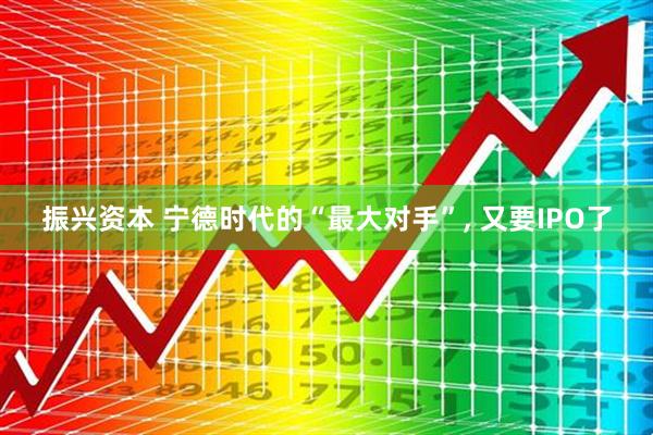 振兴资本 宁德时代的“最大对手”, 又要IPO了